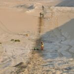 Rail Fence Project from Dammam to Jubail (16)