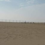 Rail Fence Project from Dammam to Jubail (3)