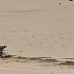 Rail Fence Project from Dammam to Jubail (6)